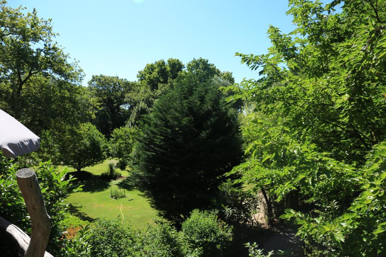 Vedène Le Pavillon Vert - B&B מראה חיצוני תמונה
