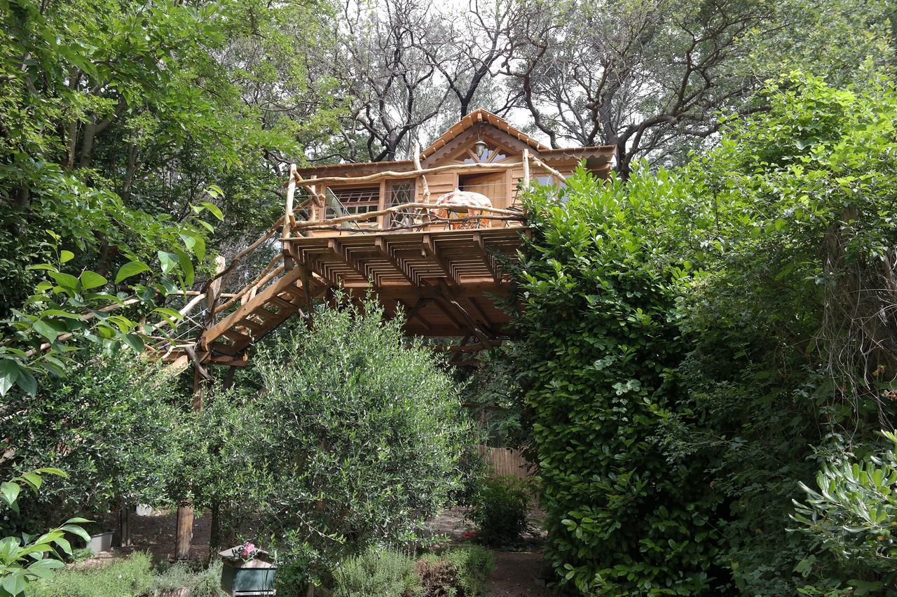 Vedène Le Pavillon Vert - B&B מראה חיצוני תמונה