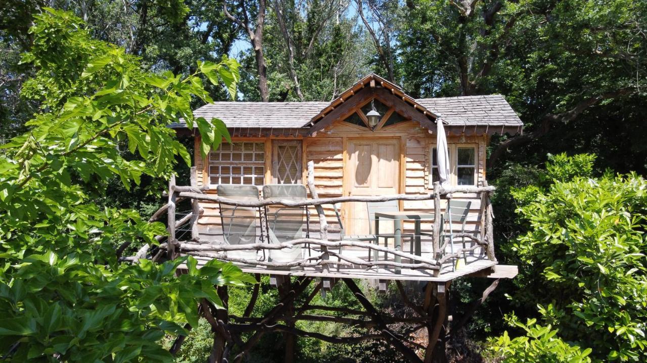 Vedène Le Pavillon Vert - B&B מראה חיצוני תמונה